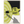 003810c5-1fe0-4c21-96ec-208f886c286e