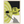 0d9a45a1-0382-420d-85f9-e8a6e2b5a465