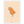 17c43961-fe81-46ac-905f-0720c35de391
