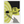 1975a767-d9d6-4132-acf0-66e6f524f9c6