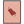 1e7d2cc7-d90f-417e-808b-9d0fd00850c7