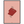 290ee84c-3c3e-421e-b3db-c71f2e5ce9d2
