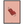 2e50e3c5-2638-4ee4-9524-e0834a5d8b93