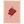 2fcac877-b3f5-4969-b696-6ae47681771f