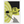 38ba25b5-4004-4375-bd81-4eedf233d7ca