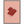 4b8b4ec5-ea20-4b48-bcad-8a8232714a1f