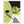 653f1933-e30e-4c0e-bdc3-f1d37078753f