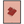 79ce7a53-a628-417f-8677-c4fa7b7805b6