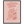 8ec4ebba-045d-48d2-bba4-75fc0509ecee