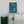 Focus Juice