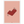 b3711edc-5860-4bfb-89a1-c891329ac23b