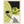 f02e5811-0c2d-4383-a245-7334bceead39